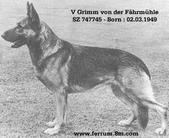 Grimm von der Fährmühle