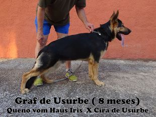 Graf de Usurbe Graf de Usurbe