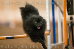 Anoki von Gaishäusern Anoki von Gaishäusern