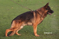 Milow von Dakota