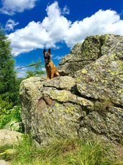 Carina vom WeinBergLand Carina vom WeinBergLand