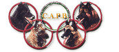 CAPB BSD Campionato Sociale di Agility
