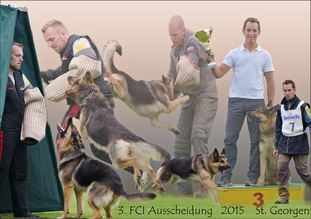 Stuzz vom Wolfsgraben Stuzz vom Wolfsgraben