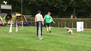 Cross Country's Tomax'Sam Cross Country's Tomax'Sam