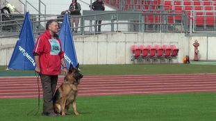 Udo von der Dänischen Wieck Udo von der Dänischen Wieck