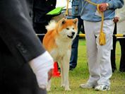Kunitomo Go Okayama Minami Kunitomo Go Okayama Minami