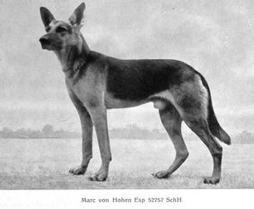 Marc von Hohen-Esp Marc von Hohen-Esp