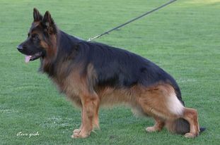 Idux von Dacon Idux von Dacon