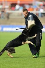 Batista vom Sottenbach Batista vom Sottenbach