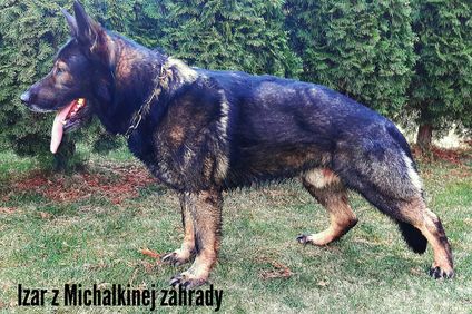 Izar z Michalkinej zahrady Izar z Michalkinej zahrady