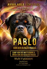 Pablo von der Bleichstrasse Pablo von der Bleichstrasse