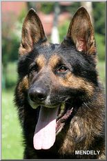 Kahn von der Geißheide Kahn von der Geißheide