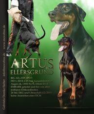 Artus vom Ellersgrund Artus vom Ellersgrund