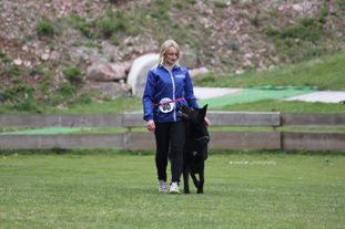 Bulwei Drachenjäger Bulwei Drachenjäger