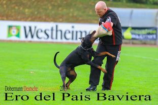 Ero del Pais Baviera Ero del Pais Baviera