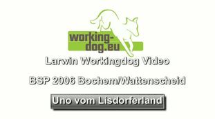 Uno vom Lisdorferland Uno vom Lisdorferland