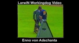 Enno vom Adschanta Enno vom Adschanta