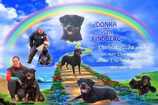 Donka vom Findberg Donka vom Findberg