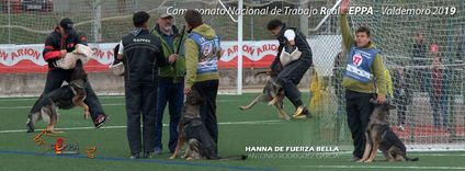 Hanna de Fuerza Bella Hanna de Fuerza Bella