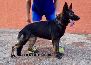 Elka de Usurbe Elka de Usurbe