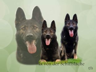 Ix von der Schiffslache Ix von der Schiffslache