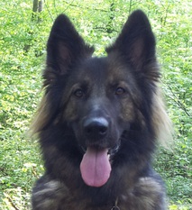 Dinja von Hause Dinja von Hause