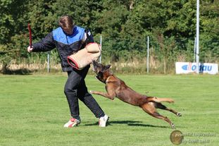 Buster von Malihattan Buster von Malihattan