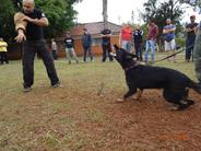 Gipsy do Leco