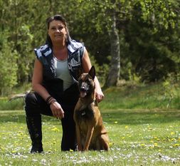 Working Malinois Daya Working Malinois Daya