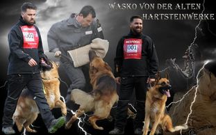 Wasko von der alten Hartsteinwerke Wasko von der alten Hartsteinwerke
