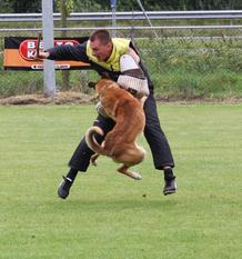 Koos NHSB 2497350 (Bosman) Koos NHSB 2497350 (Bosman)