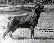 Borgvaale Prinz of Darkness