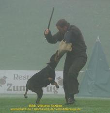 Daika vom Ferrenberg Daika vom Ferrenberg