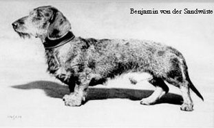 Benjamin von der Sandwüste Benjamin von der Sandwüste