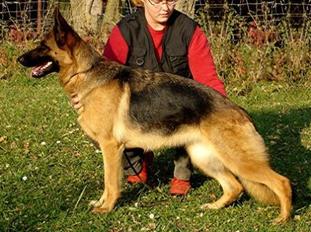 Puppie vom Olwenhof Puppie vom Olwenhof