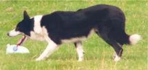 Ben ISDS 224339