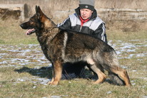Aljoscha vom alten Bernauer Heerweg