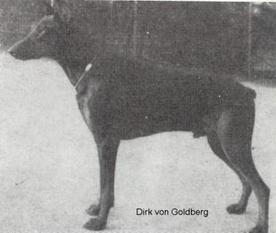Dirk vom Goldberg Dirk vom Goldberg