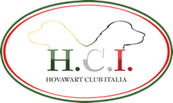 HCI Show