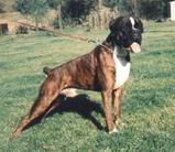 Athos von Monsalvat