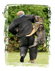Otis Gardefense Otis Gardefense
