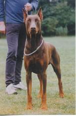 Bastian von Goldschmieding Bastian von Goldschmieding