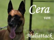 Cera von Maliattack