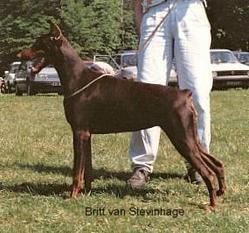 Britt van Stevinhage Britt van Stevinhage