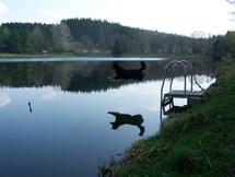 Bild von Estrelle vom Pfarrhof