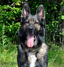 Qbaz Ajax Qbaz Ajax
