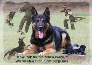 Aik von der Ziegelbornschneise Aik von der Ziegelbornschneise