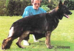 Wicko von Karthago Wicko von Karthago