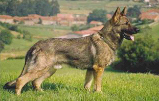 Lars Dudakova CS Lars Dudakova CS