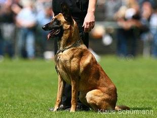 Uran von Bonum Bono Uran von Bonum Bono
